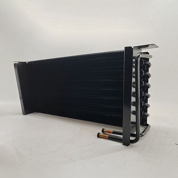 Electrophoresis anti-corrosion heat exchanger