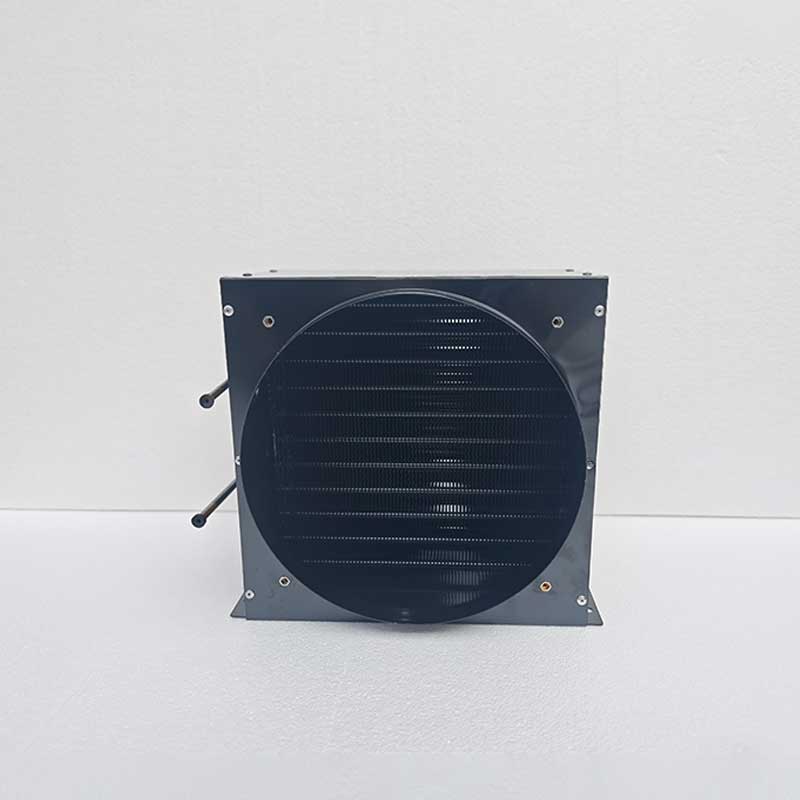 Electrophoresis anti-corrosion heat exchanger